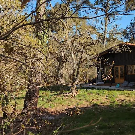 Surf-yoga With Private Lush Garden & Sandy Stream Semesterbostad
