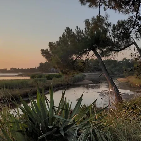 Surf-yoga With Private Lush Garden & Sandy Stream Semesterbostad