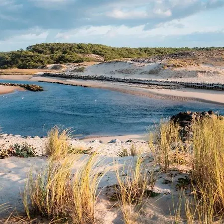 Semesterbostad Surf-yoga With Private Lush Garden & Sandy Stream