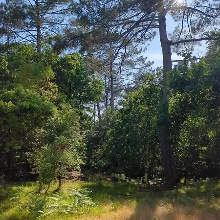 Surf-yoga With Private Lush Garden & Sandy Stream Semesterbostad