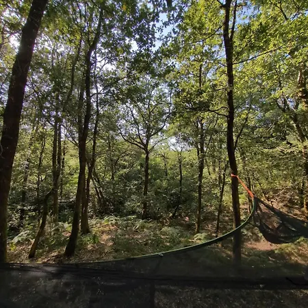 Semesterbostad Surf-yoga With Private Lush Garden & Sandy Stream Mézos