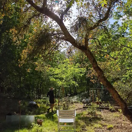 Semesterbostad Surf-yoga With Private Lush Garden & Sandy Stream Mézos