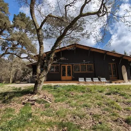 Surf-yoga With Private Lush Garden & Sandy Stream *