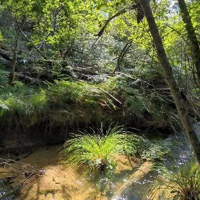 Surf-yoga With Private Lush Garden & Sandy Stream Mézos