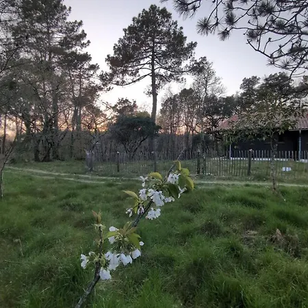 Surf-yoga With Private Lush Garden & Sandy Stream Mézos